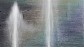 Kim Schoen: Have You Never Let Someone Else Be Strong at Madison Museum of Contemporary Art